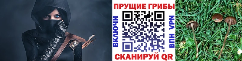 Галлюциногенные грибы мицелий купить сайты Дудинка